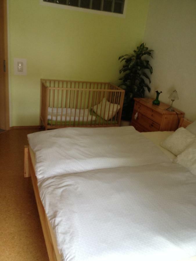 Ferienappartment Mit Schlafzimmer Farschweiler エクステリア 写真